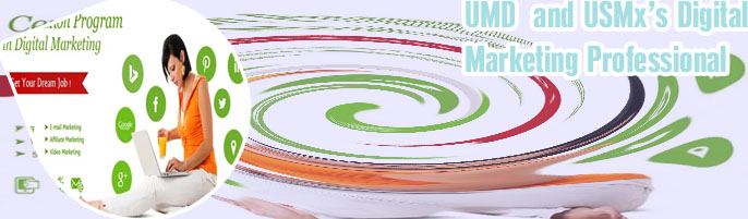 Certified digital marketing professional