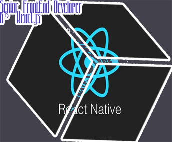 Front end developer react js