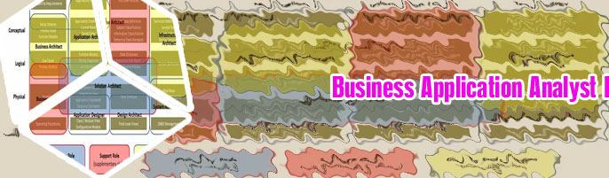 It business application analyst
