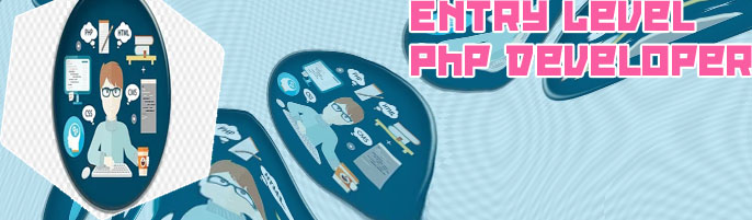 Php software developer