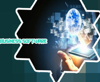 Software business