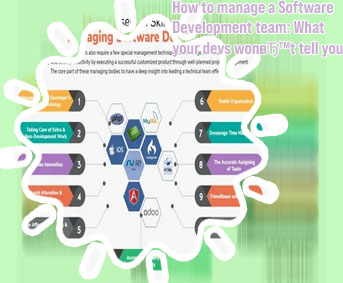 Software development management