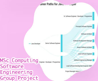 Software engineering project