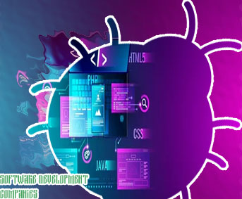 Software web development company