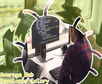 Website developer